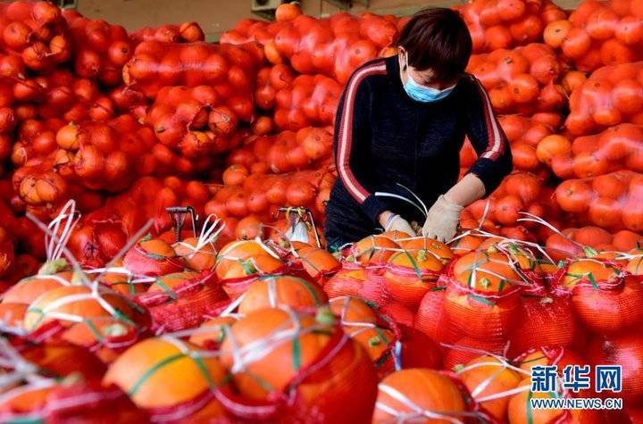 2月5日,在郑州市中牟县万邦国际农产品物流城,工作人员在整理蔬菜.